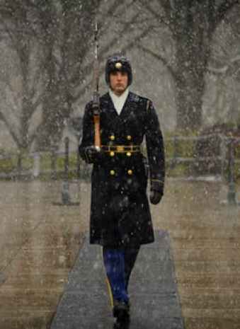 sentinel-tomb-of-unknown-soldier-guard-government-photo-54190
